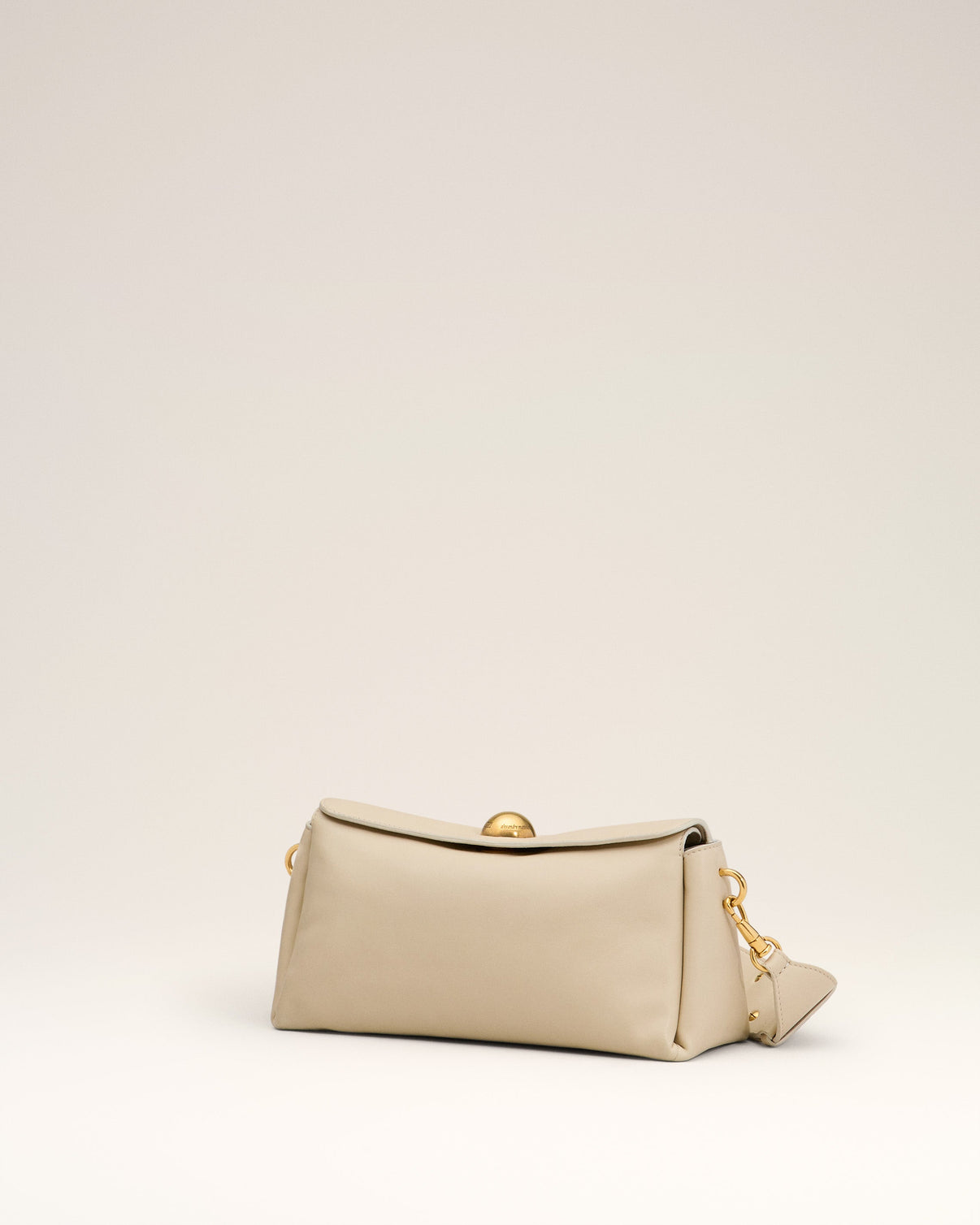 Beige Leather Carrousel Bag