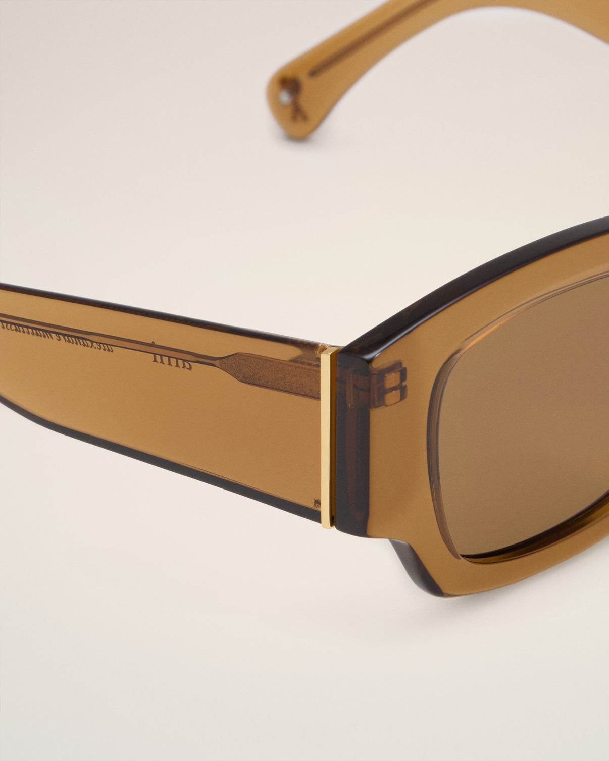 Brown Acetate 75001 Sunglasses