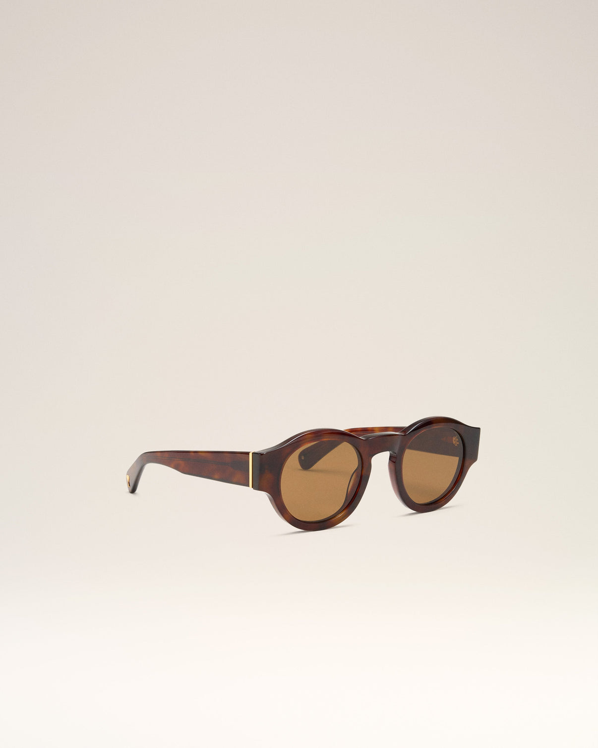 Brown Acetate 75002 Sunglasses
