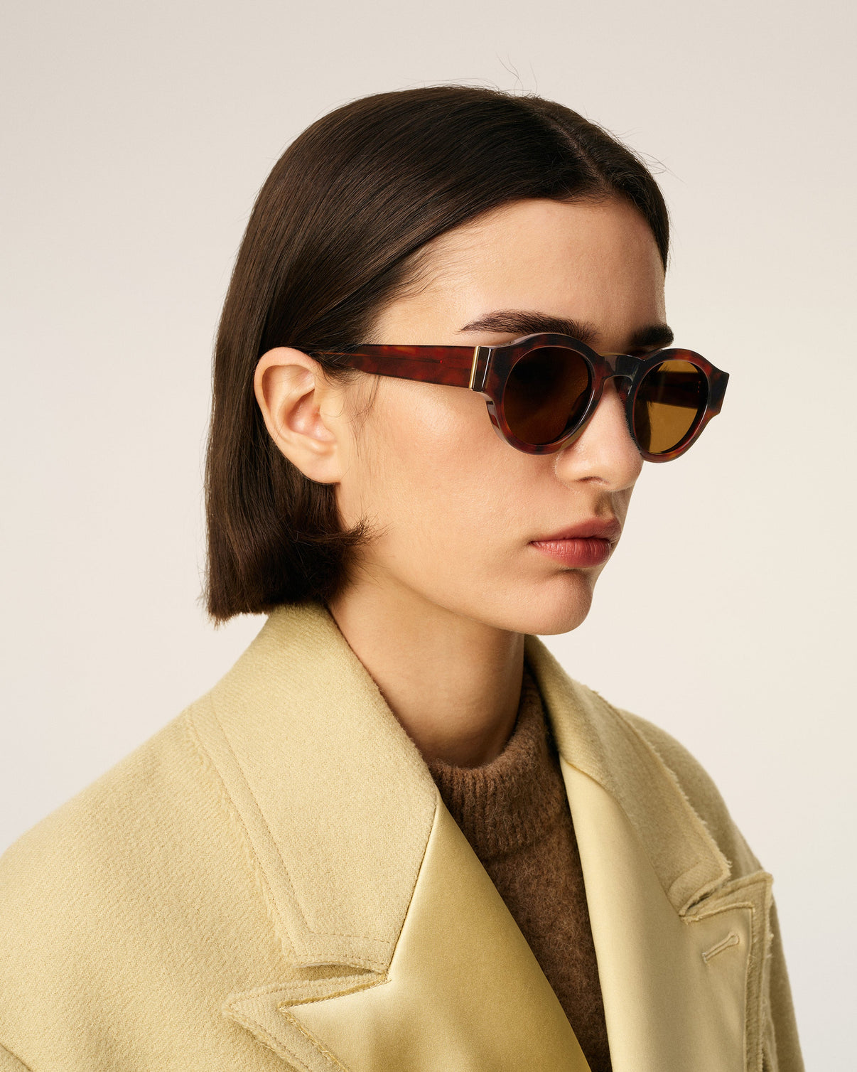 Brown Acetate 75002 Sunglasses