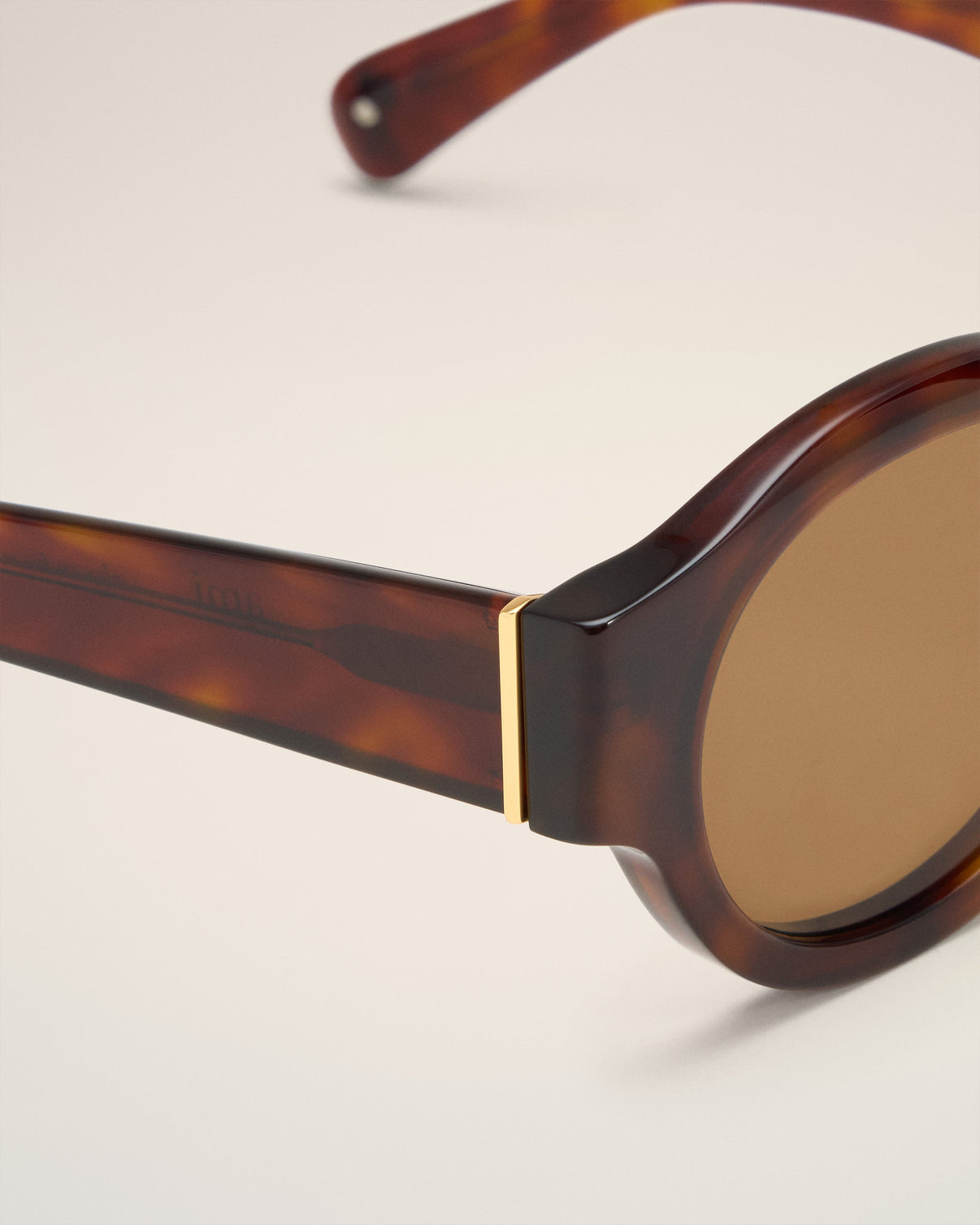Brown Acetate 75002 Sunglasses