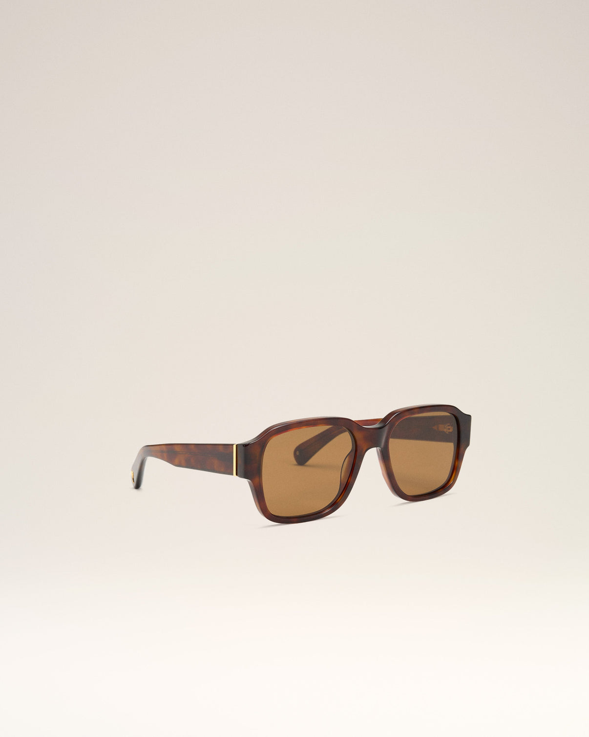 Brown Acetate 75006 Sunglasses
