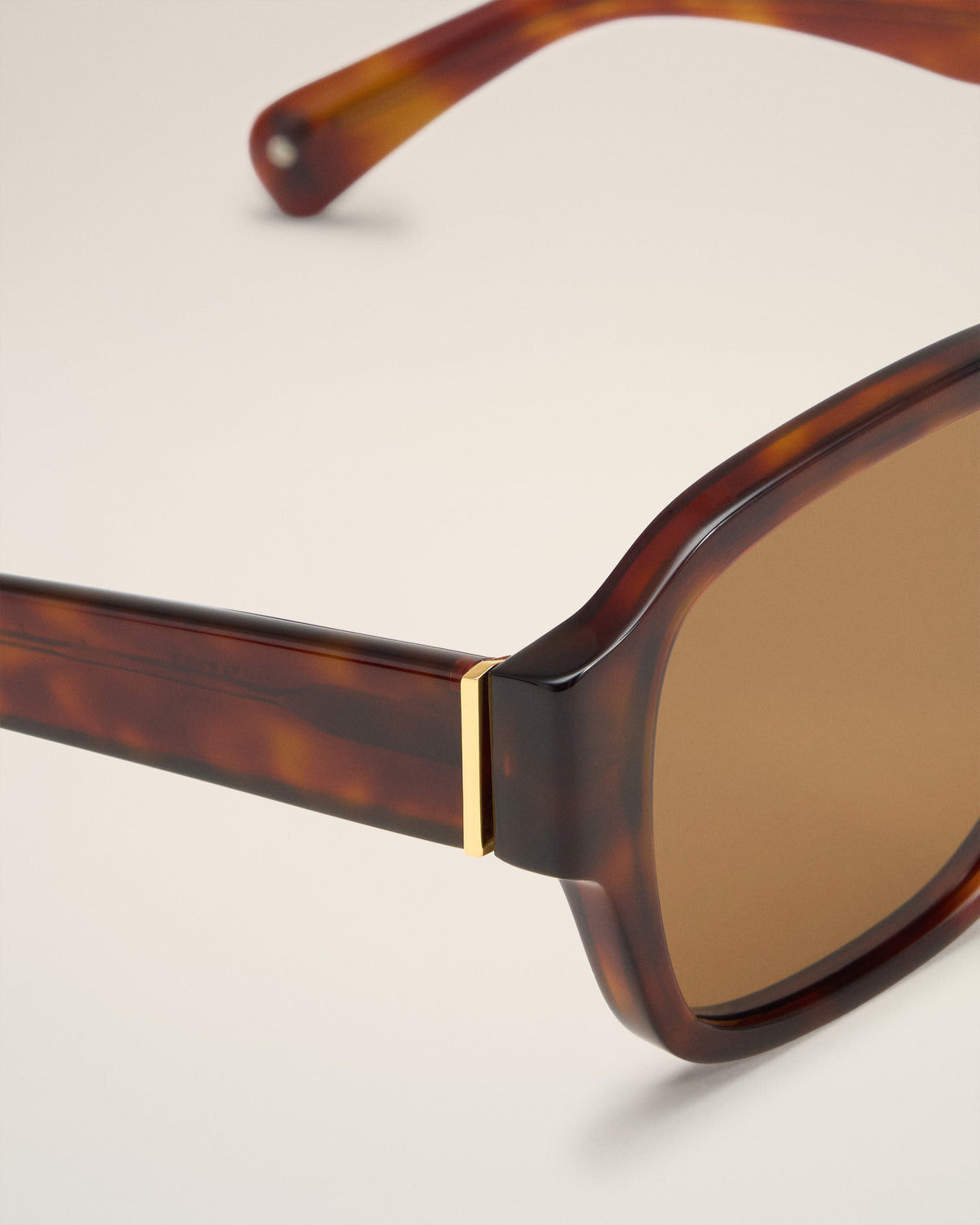 Brown Acetate 75006 Sunglasses