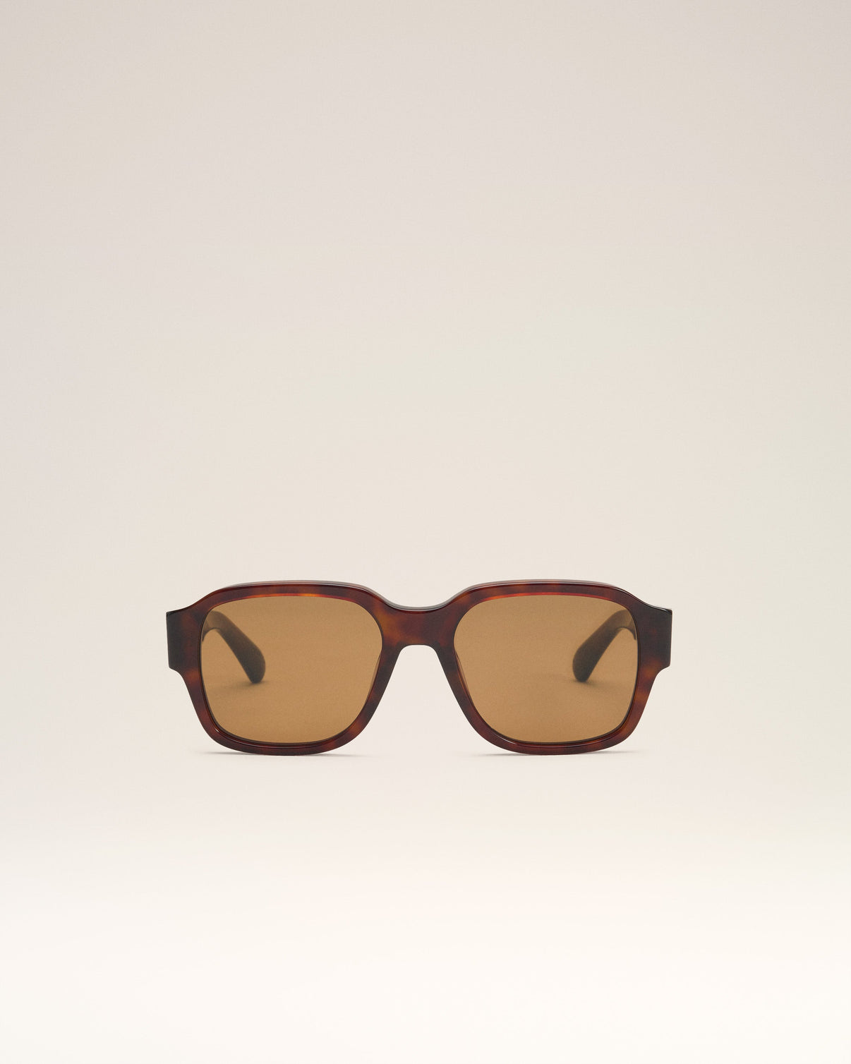 Brown Acetate 75006 Sunglasses