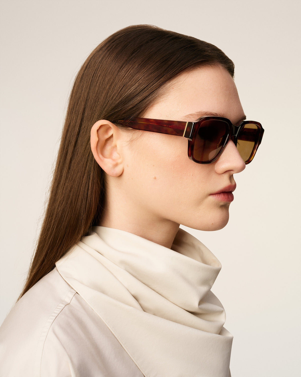 Brown Acetate 75006 Sunglasses