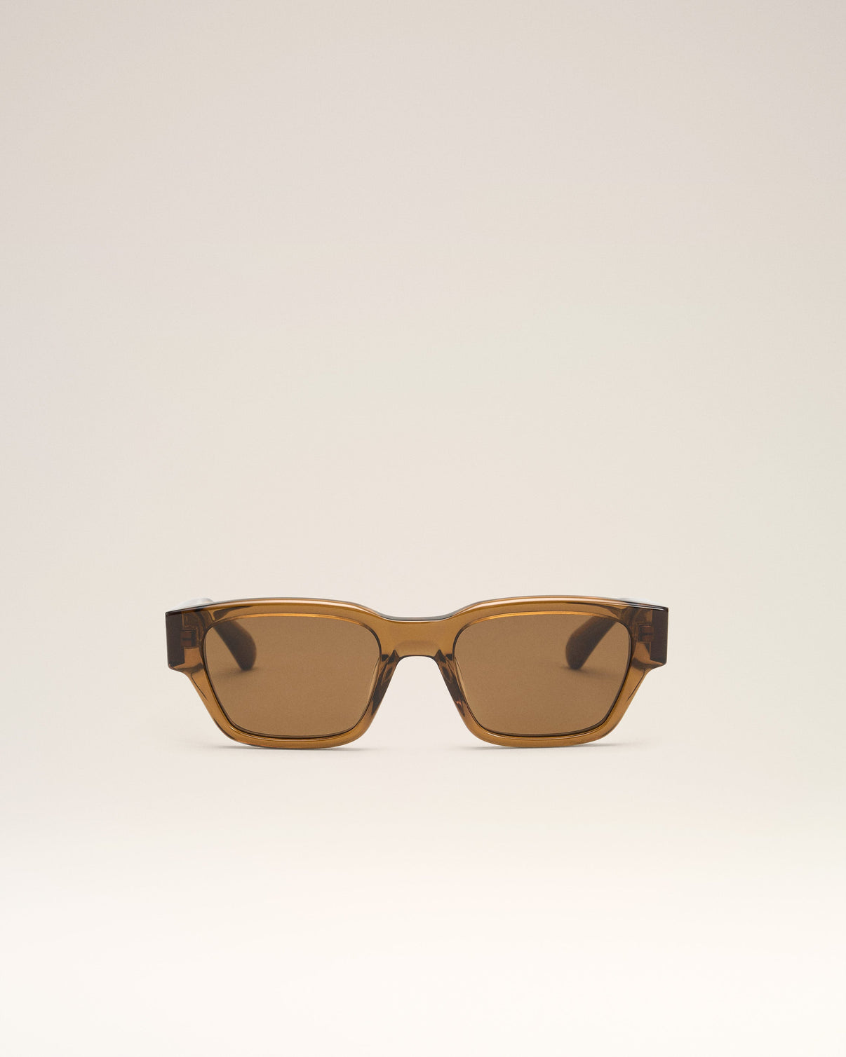 Brown Acetate 75009 Sunglasses