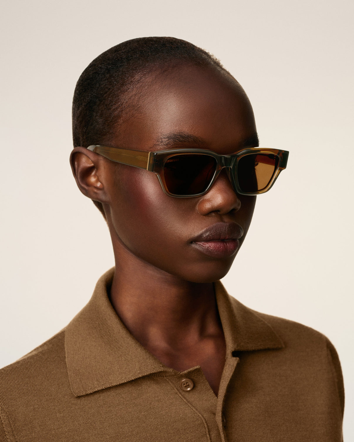 Brown Acetate 75009 Sunglasses