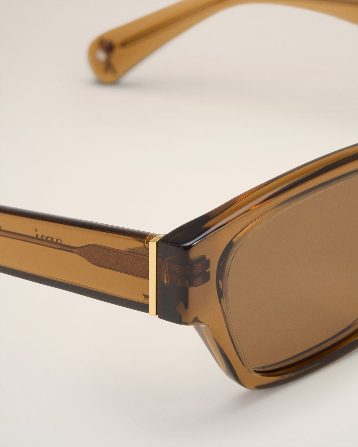 Brown Acetate 75009 Sunglasses