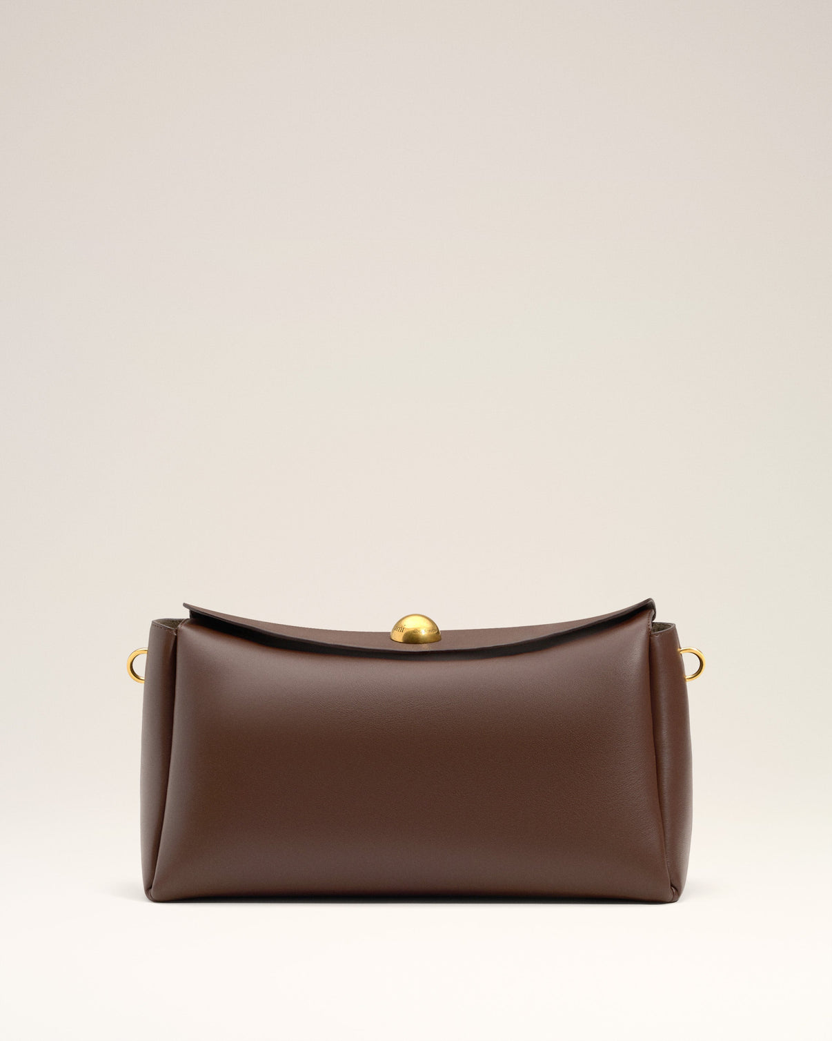 Brown Smooth Leather Carrousel Medium Bag