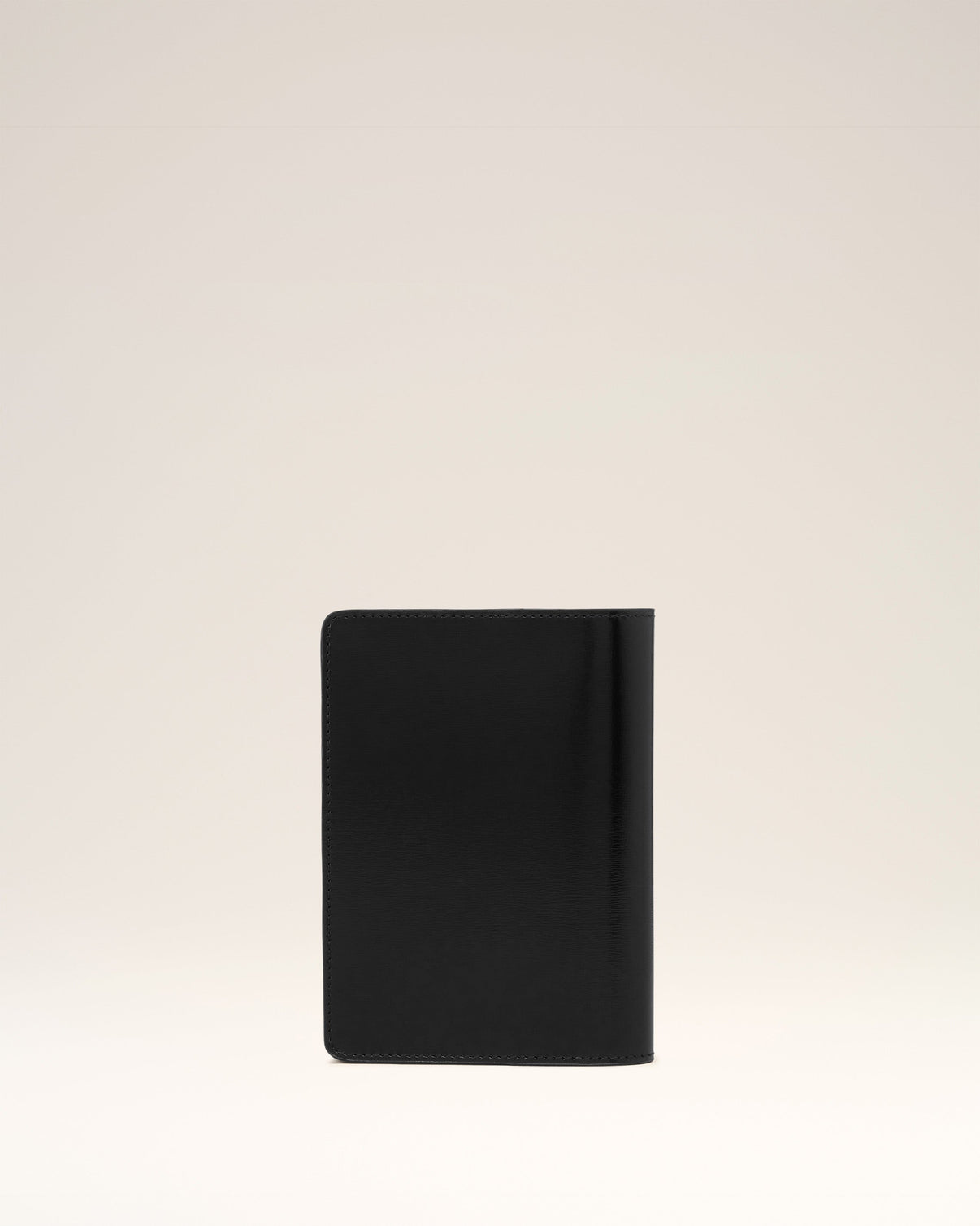 Passport Holder